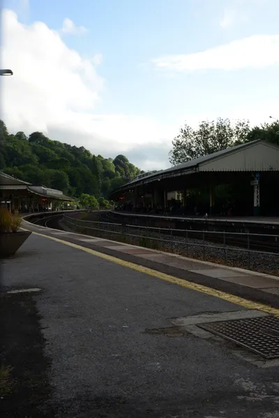 DSC_2690 (Large).JPG